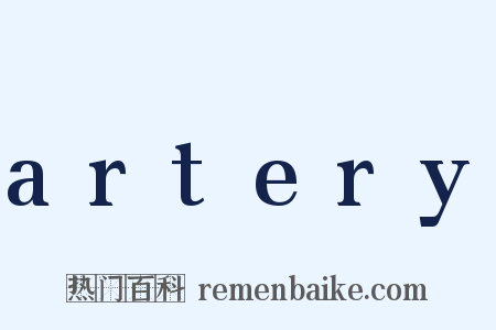 artery是什么意思的图片